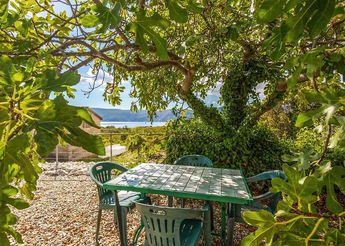 Pet Friendly In With Wifi بيت للعطل *