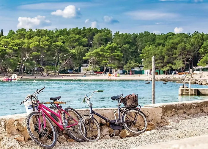 Pet Friendly In With Wifi *