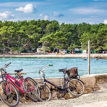 Pet Friendly In With Wifi *